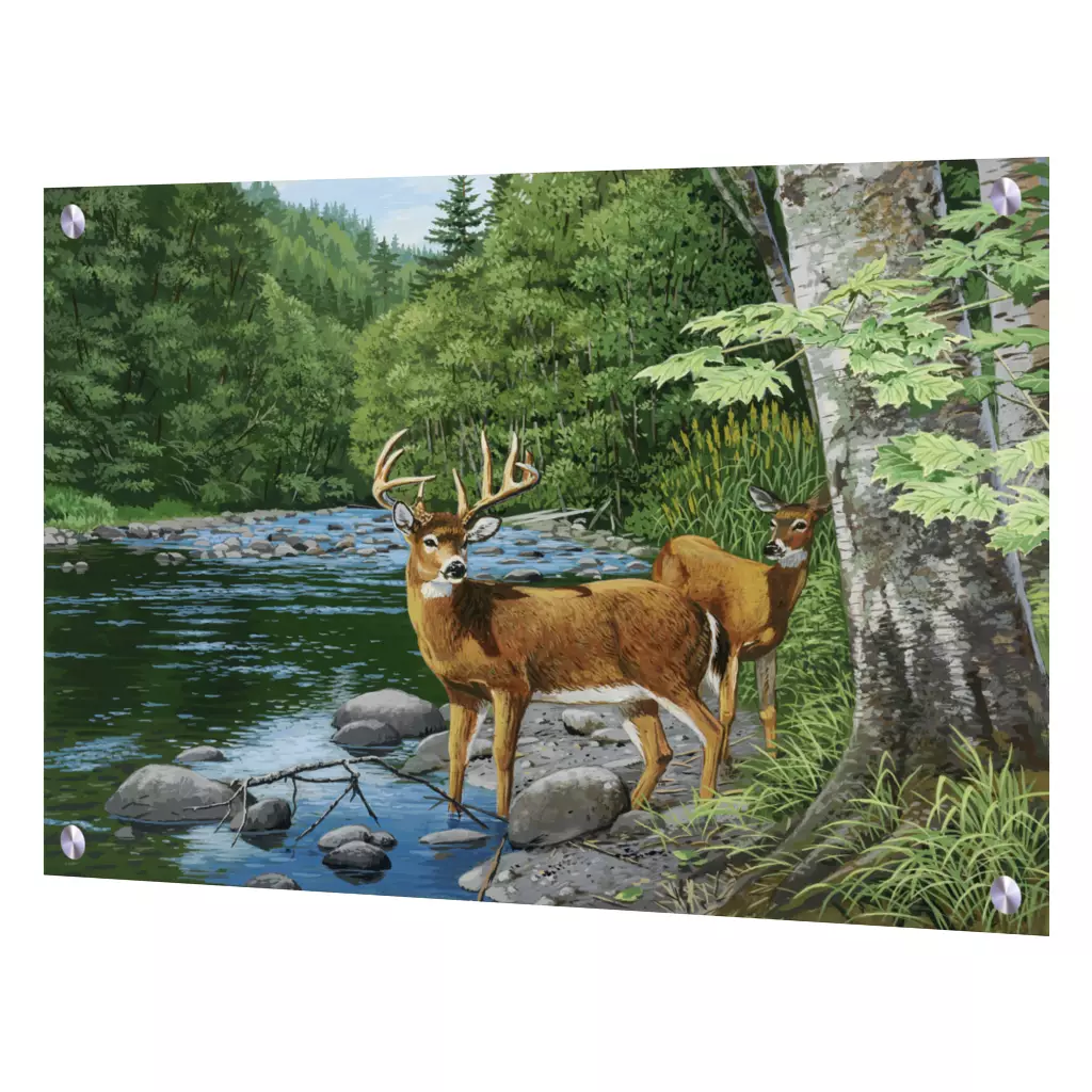 Elk and Deer art-Streamside-White Tail Deer-Art Glass Backsplash