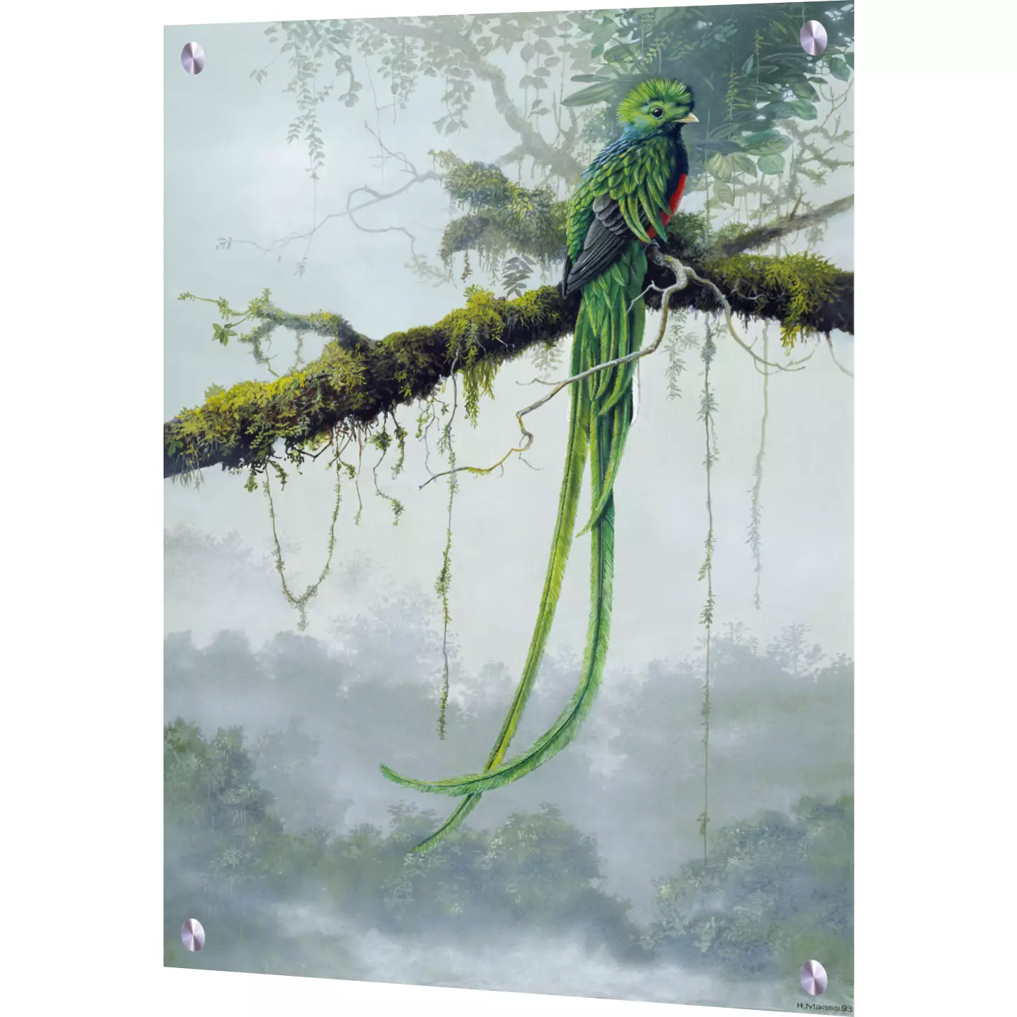 glass tiles with tropical birds-Resplendent Quetzal-Art Glass