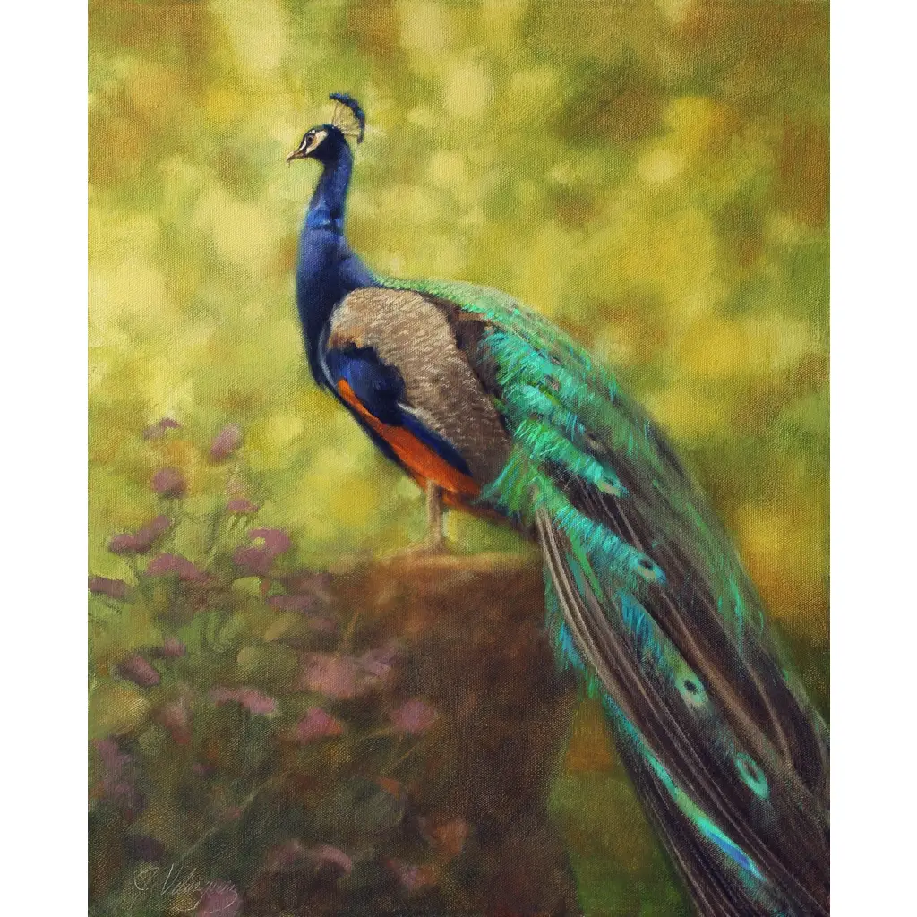 Backyard bird decorative tilePeacockTile Mural