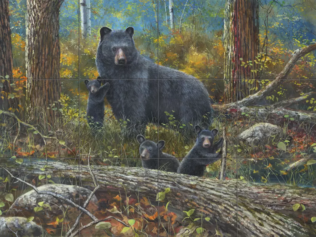 2006　BEAR　カタログ 15-2721-4x3-1.webp