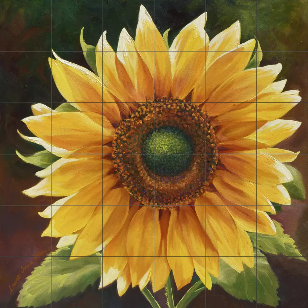 15-3296-6x6-1.webp