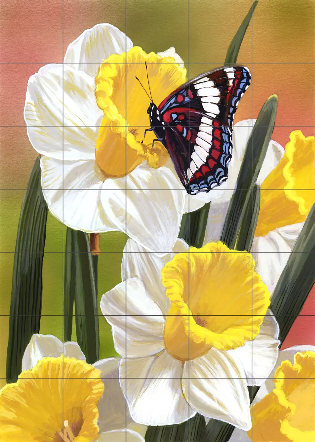 15-419-5x7-1.webp